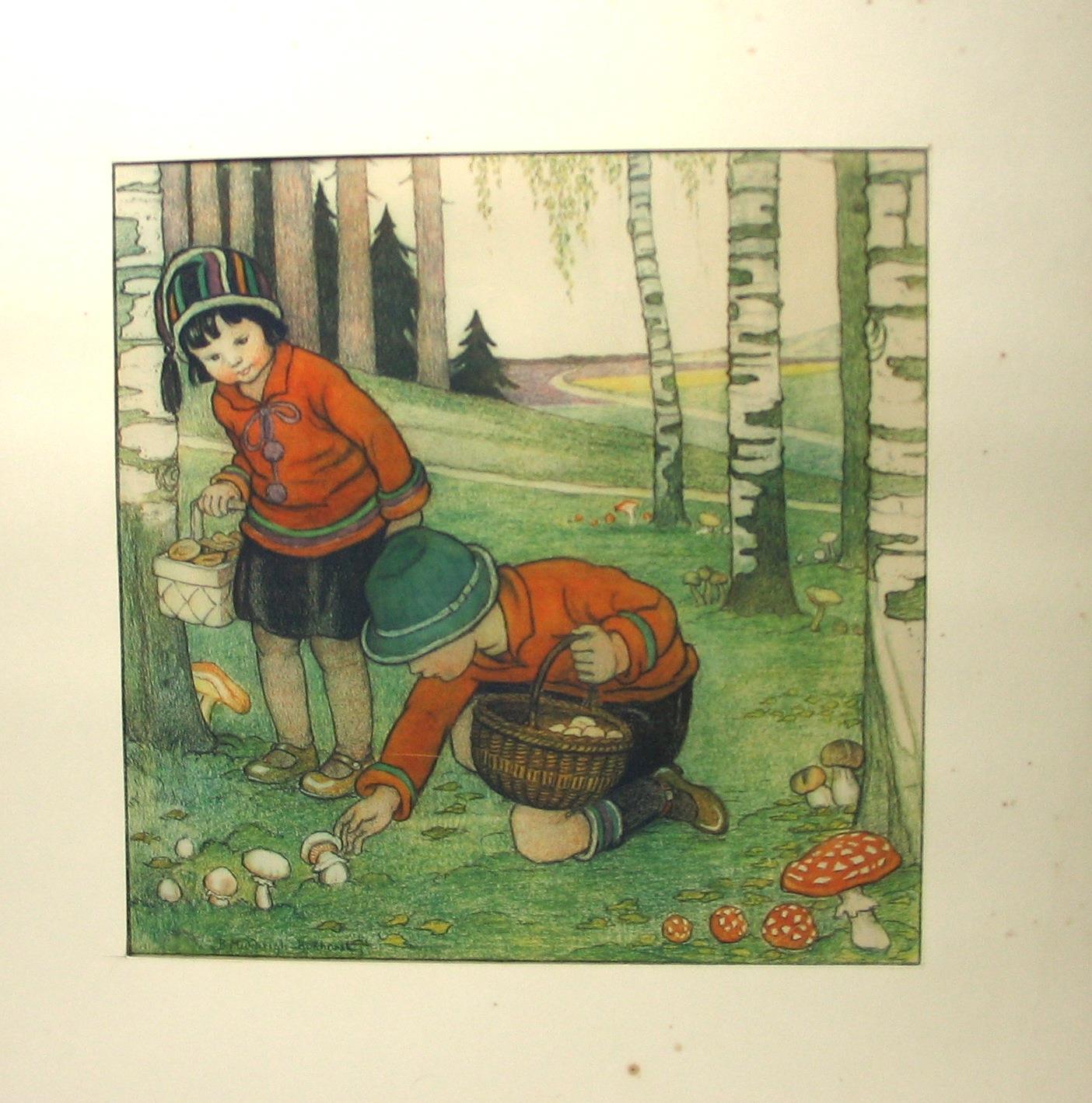 Мальчик собирает грибы в лесу